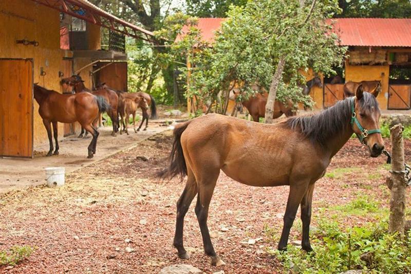 Hotel Rancho El Reencuentro Valle de Bravo Exterior foto